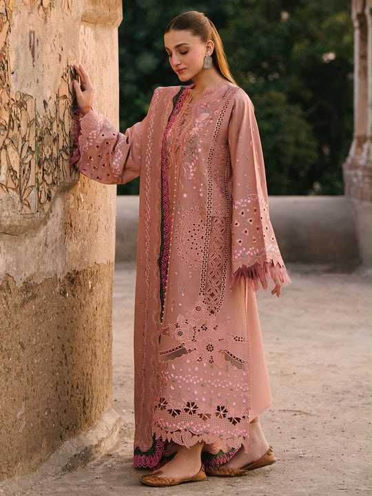 Winter 2K26 Unstitched Collection — RC 6059 | Bin Ilyas